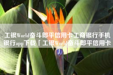 工银World奋斗郎平信用卡工商银行手机银行app下载「工银World奋斗郎平信用卡」