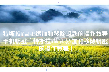 特斯拉Model3添加和移除钥匙的操作教程手机钥匙「特斯拉Model3添加和移除钥匙的操作教程」