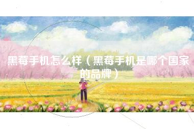 黑莓手机怎么样(黑莓手机是哪个国家的品牌)